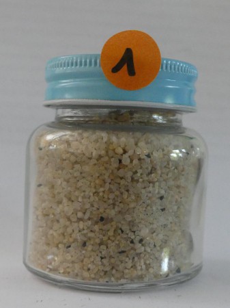 île Penang, Turtle beach - Malaisie