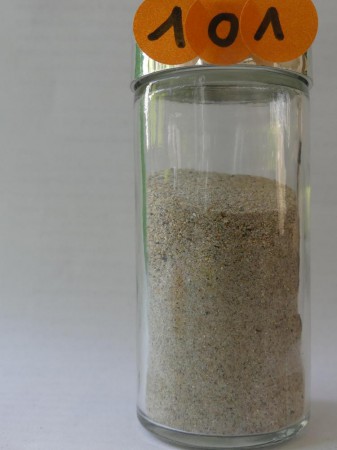 Plage du Prophète - France