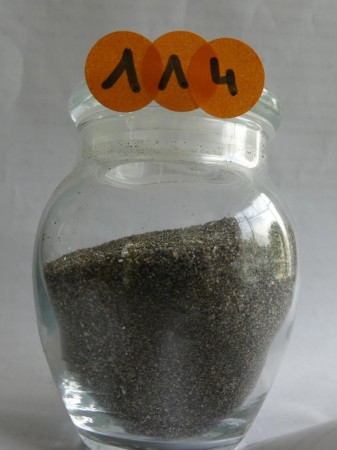 Pointe Noire - France, Guadeloupe