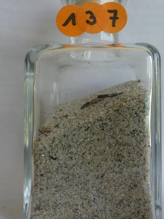 Paralia, Hôtel Mediteranean Village - Grèce