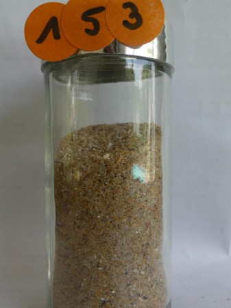 Châtelaillon plage - France