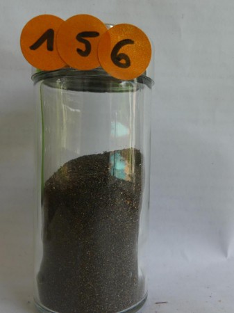 Praia da Ribeira Bravo - Portugual, Madère