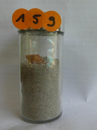 Dunkerque, Malo-les-Bains - France