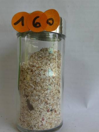 Hurghada, Soma Bay - Egypte