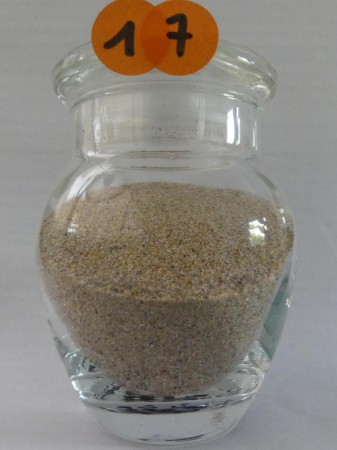 Saint-Palais-sur-Mer - France