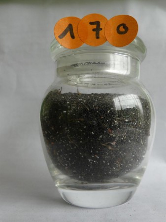 Boucan Canot - France, la Réunion