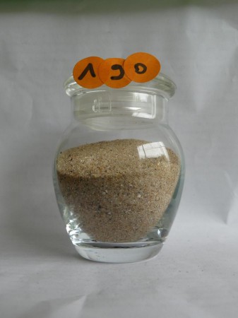 Ile d'Oléron - France