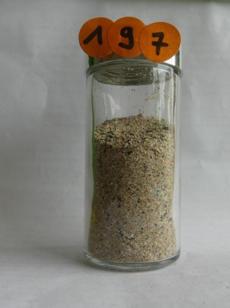 Normandie, Nez de Jobourg - France