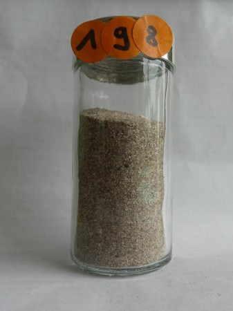 Cap de Bonne-Espérance - Afrique du Sud