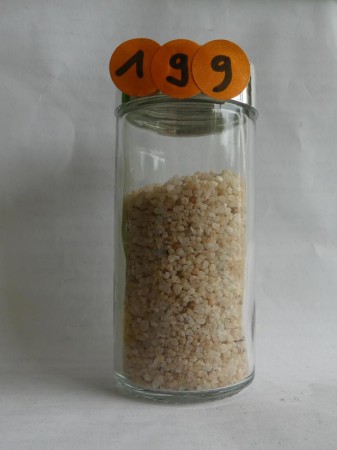 Sun City - Afrique du Sud