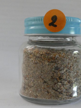 Bornéo, Parc national de Bako - Malaisie