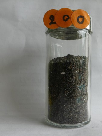 Ile d'Ometepe - Nicaragua