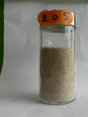 Praia do Futuro, Fortaleza - Brésil