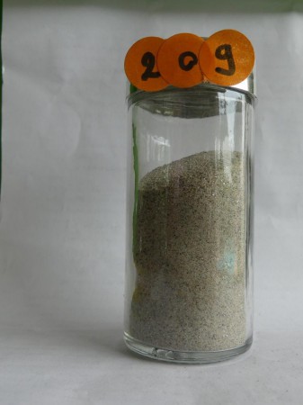 Brest, Sainte-Anne-de-Portzic - France