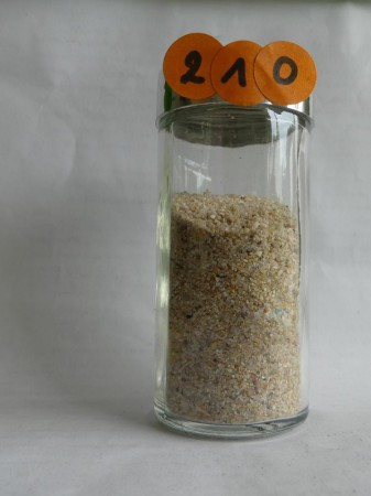 Kerfissien, vers Roscoff - France