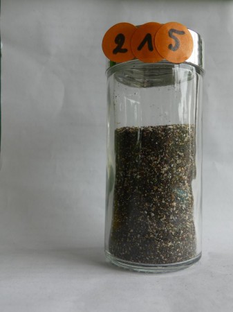 Prainha - Portugual, Madère