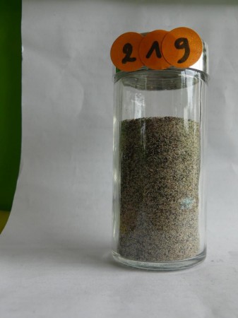 Lac d'Annecy - France