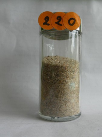 Carantec, le Kelenn - France