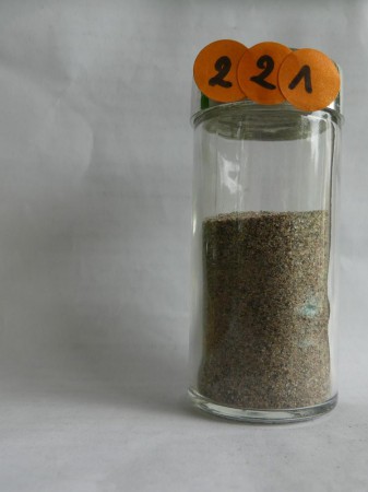 Lozère, gorges du Tarn - France