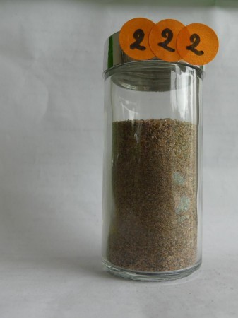 Praia da Calheta (plage artificielle sable marocain) - Portugual, Madère