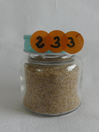 Plage de la Gautrelle, île d'Oléron - France