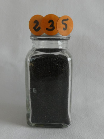 Praïa Formosa - Madère