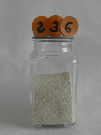 Ile Cozumel, Cayo el Cielito - Mexique