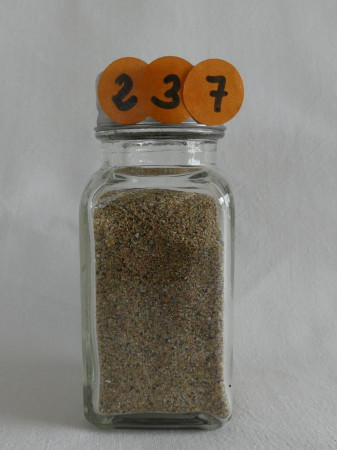 Plage de la Palue, Crozon - France