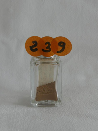 Sirocco ramassé à Lagord - Sahara