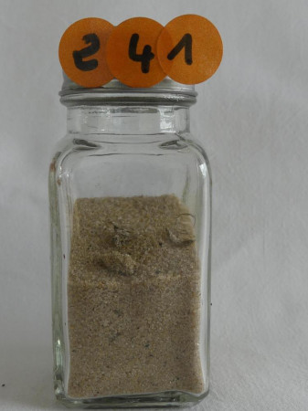 Gujan Mestras - France