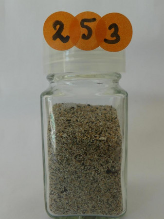 Anse d'Arlet - France, Martinique