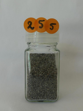 Plage de Saint-Pierre - France, Martinique