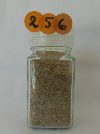 Noirmoutier, Fromentine - France