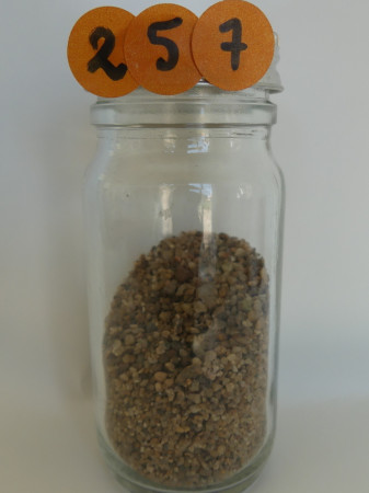 Bord de Loire Behuard - France