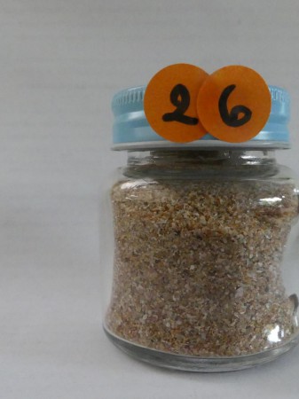 Ile d'Oléron au bout de la route du large - France