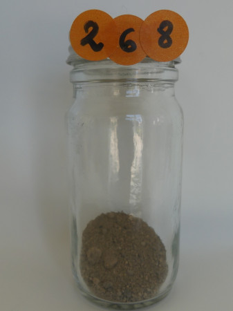 Terre de Pologne - Pologne