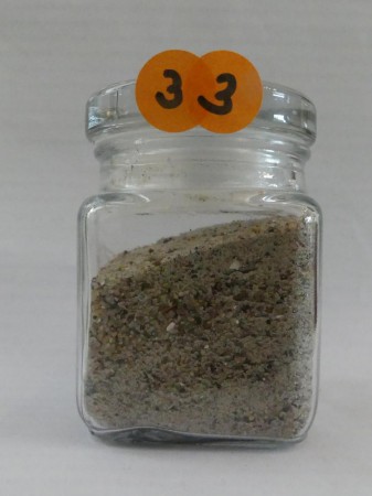 Tallinn, plage Pirita - Estonie