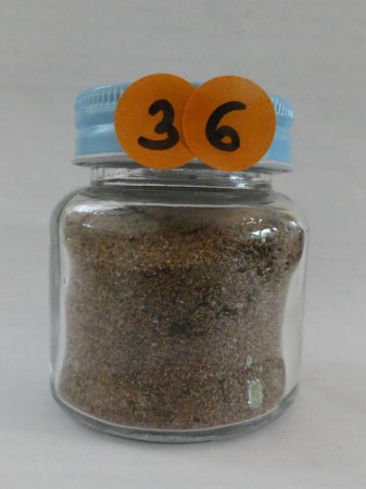 Montignac, la Vézère - France