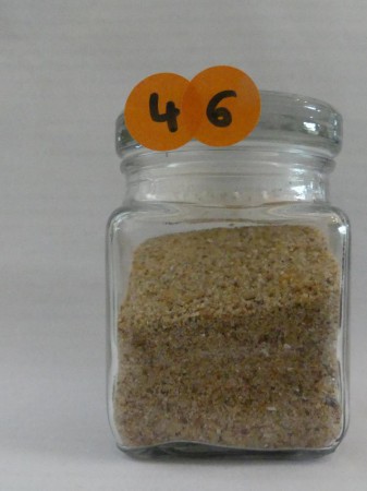 La Faute-sur-Mer - France