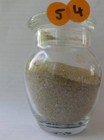 Saint-Georges-de-Didonne - France