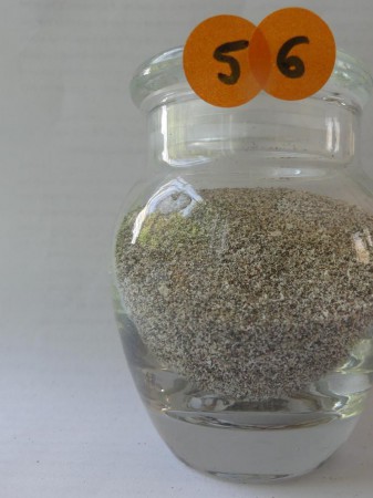 Plage des Roseaux - France, Guadeloupe