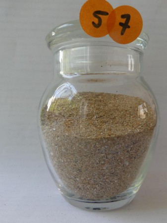 Saint-Jean-de-Monts - France