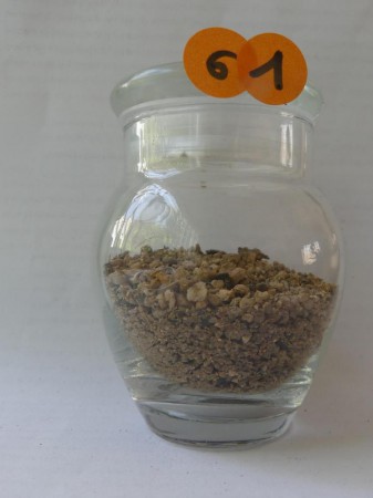 Etang de Tazilly - France