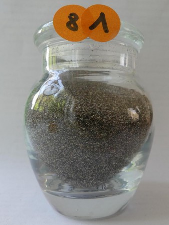 Bananiers - France, Guadeloupe