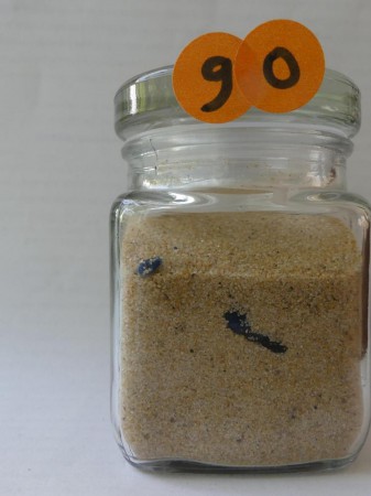 Dune du Pilat - France