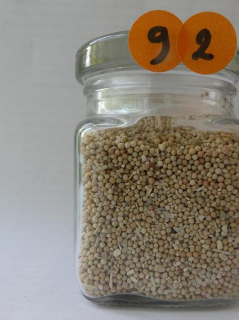 Ile Lombok, plage de Kuta - Indonésie