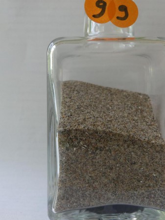 Ile de Toronto, lac Ontario - Canada